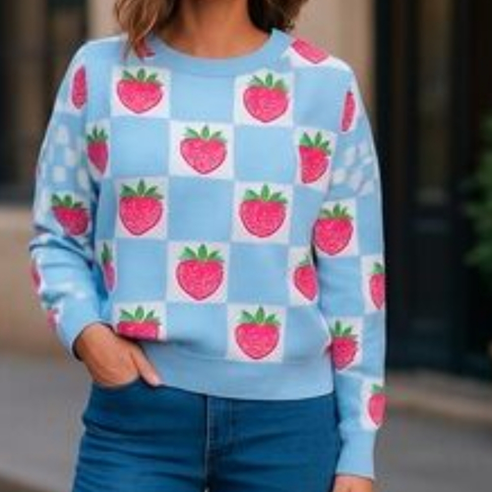 Debut blue white checkered sweater strawberry crew neck top small